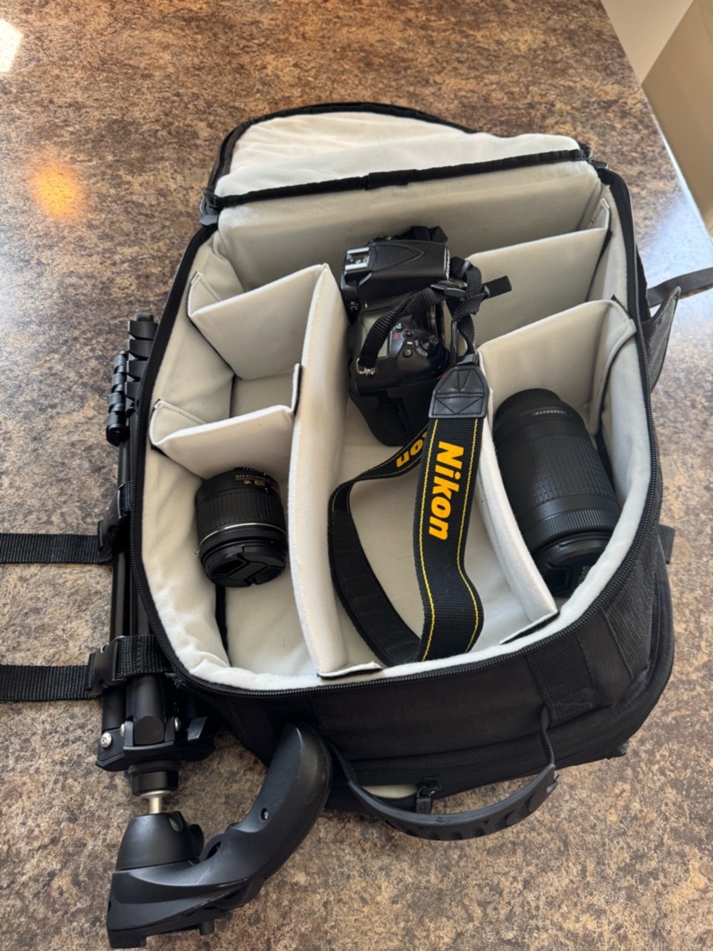 Black Camera Backpack with Gray Interior removable separators